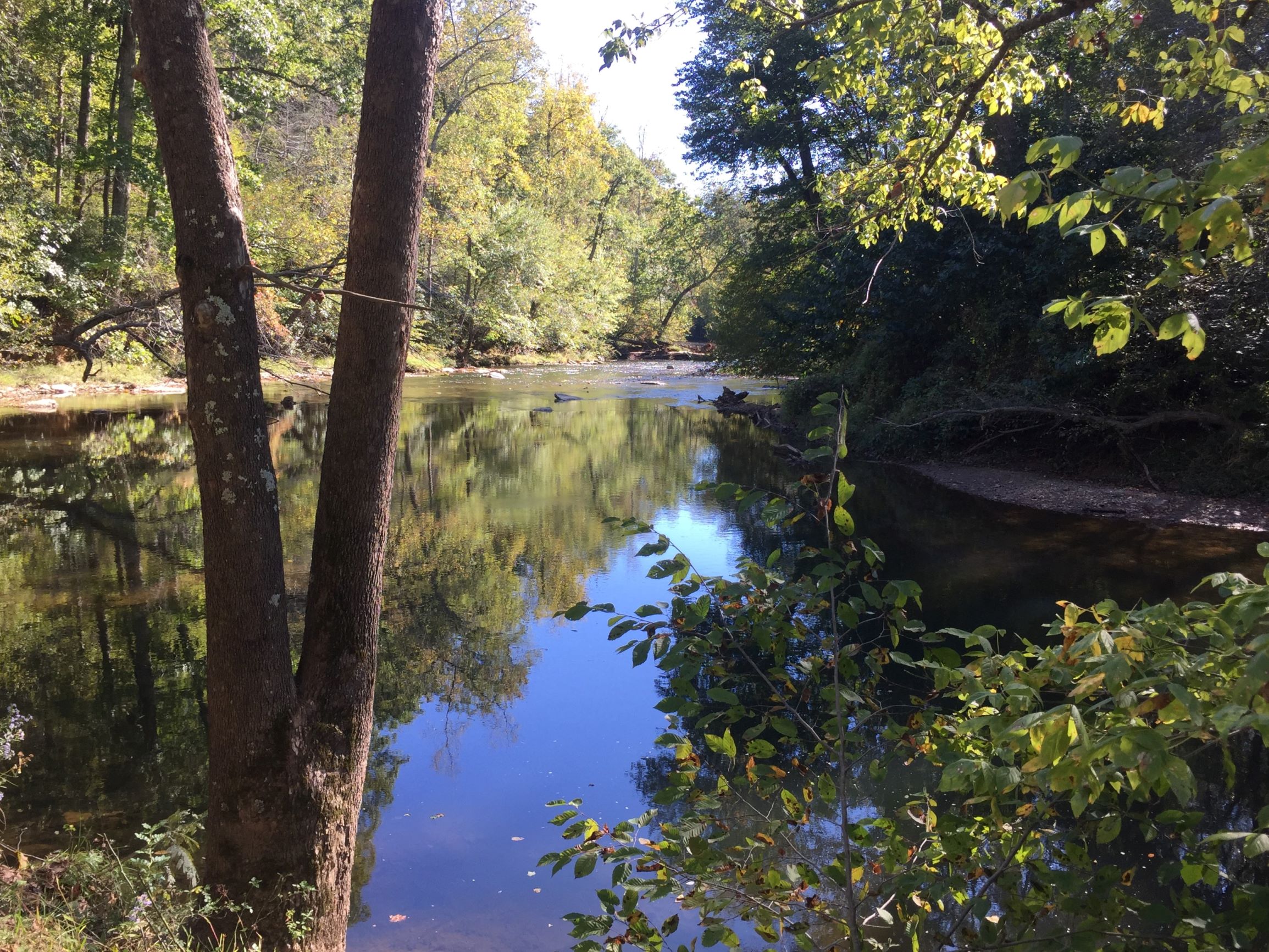 Seneca Creek 